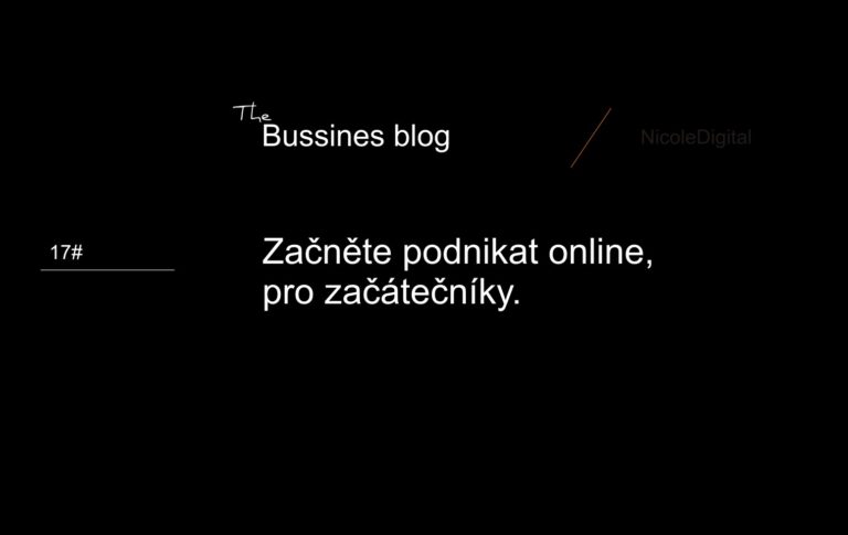 Jak podnikat online. Rychlý přehled pro začátečníky.